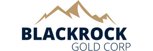 Blackrock Silver Corp. logo