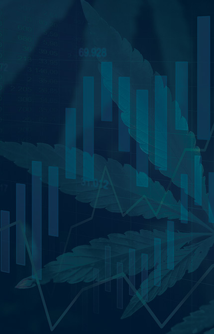 Cannabis Investing Virtual Expo