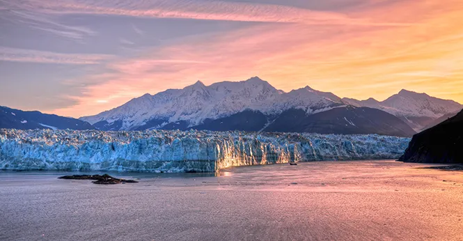 The 45th Forbes Cruise for Investors