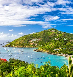 The 47th Forbes Cruise for Investors 