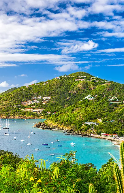 The 47th Forbes Cruise for Investors 