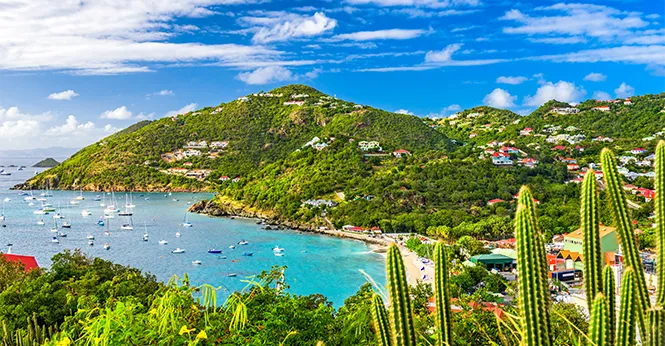 The 47th Forbes Cruise for Investors 