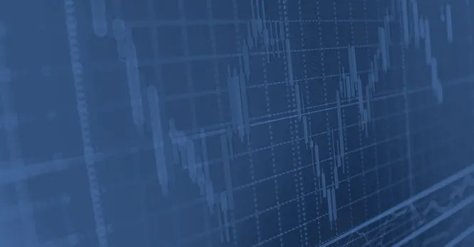 Mid-Year Portfolio Review