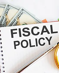 FISCAL POLICY image