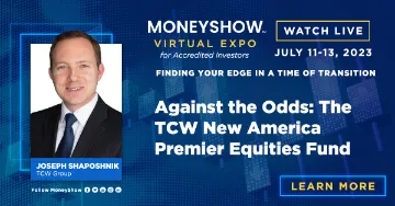 Against the Odds: The TCW New America Premier Equities Fund