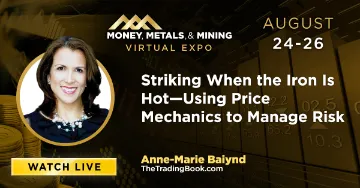 Striking When the Iron Is Hot—Using Price Mechanics to Manage Risk