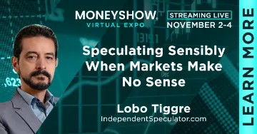 Speculating Sensibly When Markets Make No Sense